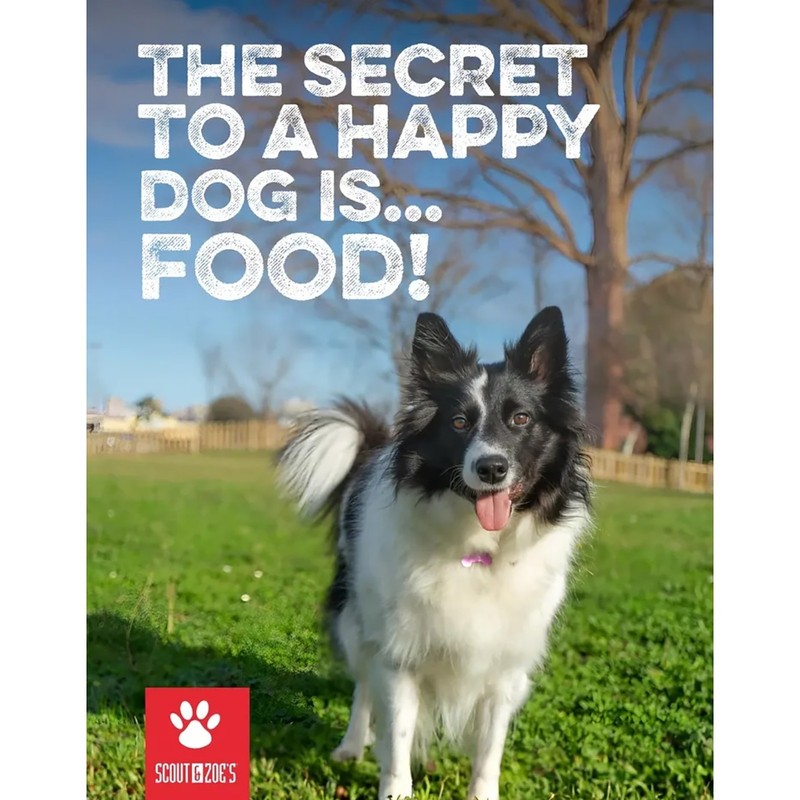 Scout & Zoe's: Hare For The Dog Rabbit Jerky - Pet Treats, Snack & Reward gallery