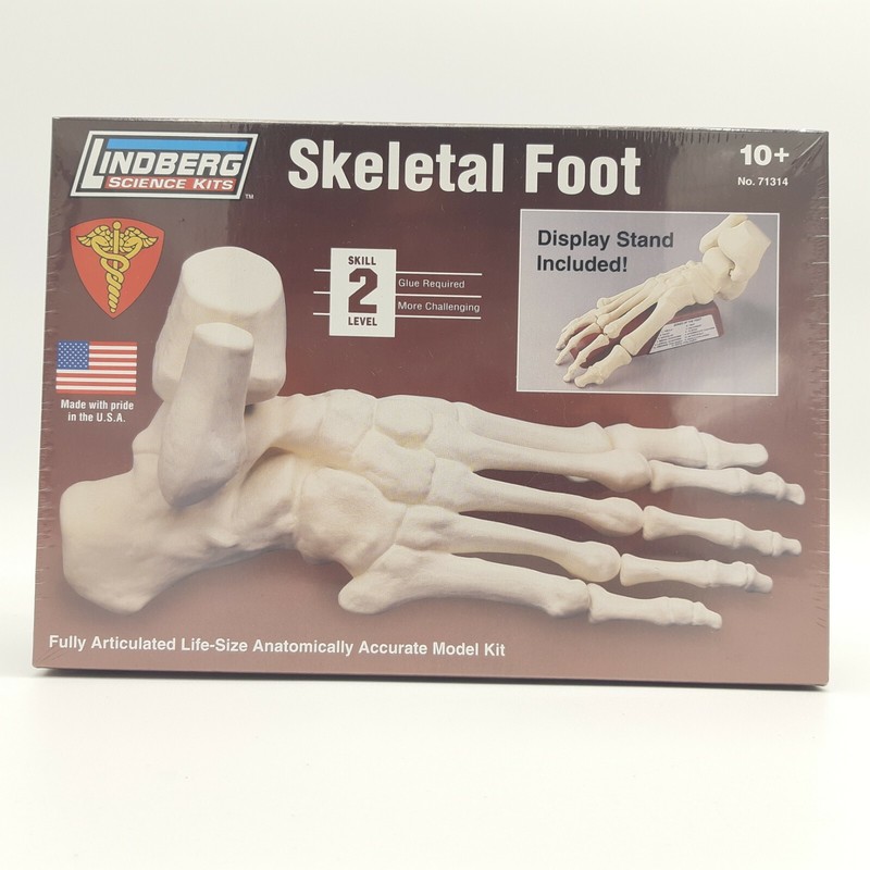 Lindberg Science Kits Skeletal Foot Model No 71314 Made In The U.S.A. New