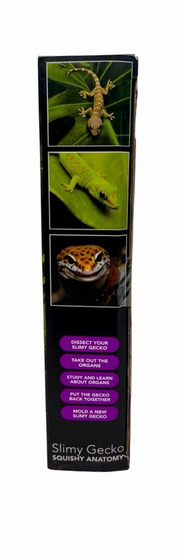 Unbelievable Science Slimy Gecko Squishy Anatomy Experiment Kids Educational Toy gallery