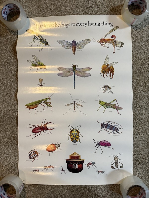 VTG The Forest Belongs To Every Living Thing Smokey The Bear Insects Poster Sign