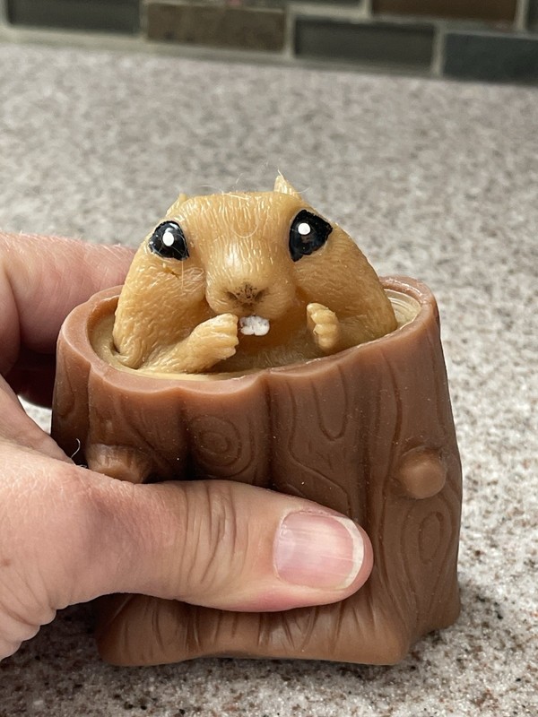 Squirrel Cup Squishy Tree Stump Soft Rubber Fidget  Funny Stress Toy gallery