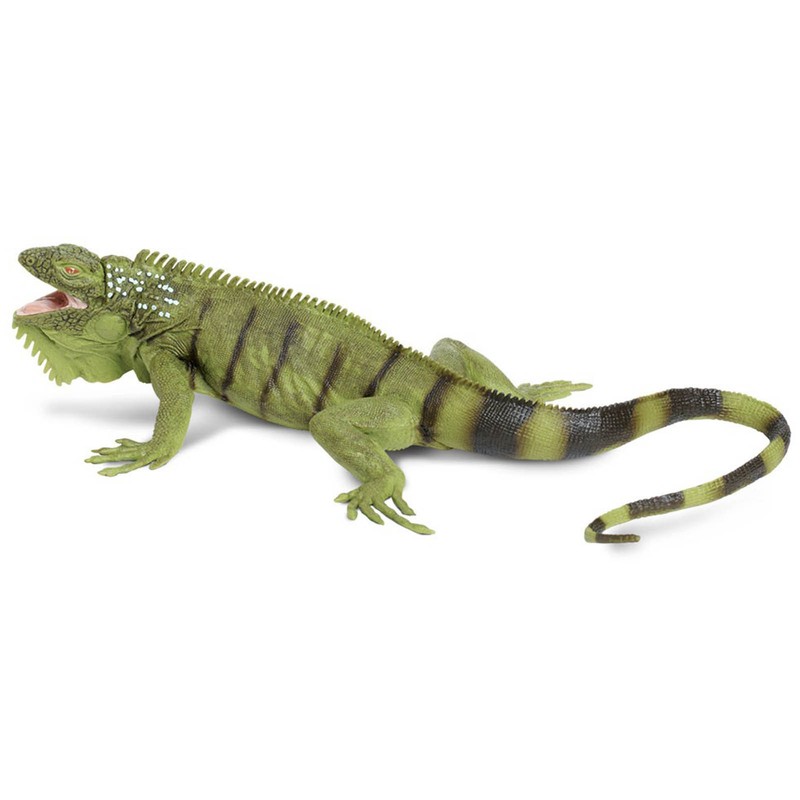 Iguana Incredible Creatures Figure Safari Ltd NEW Toys Educational Kids Collect