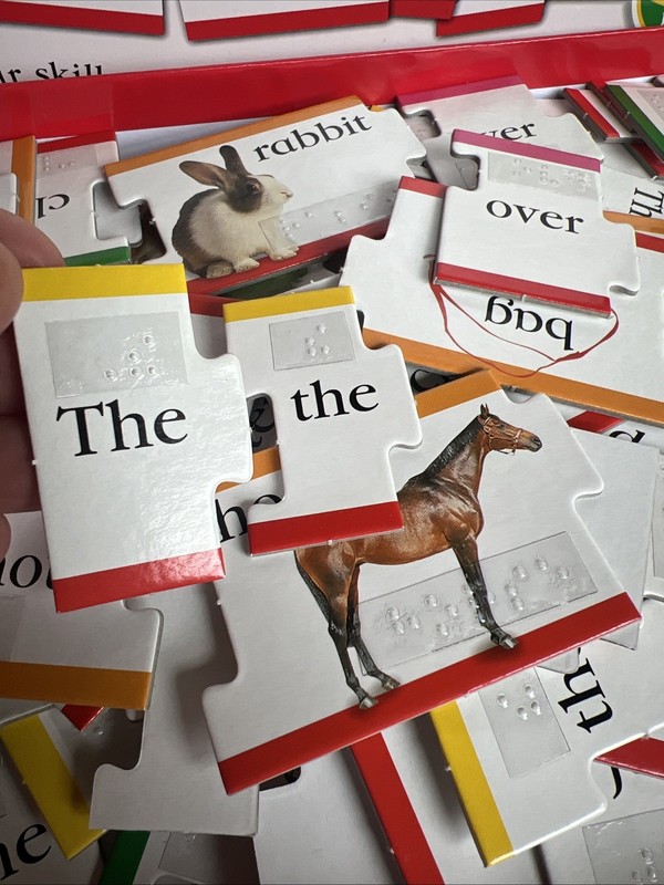 Game Braille Activities Kids DK Games Modified Visually Impaired Silly Sentences gallery