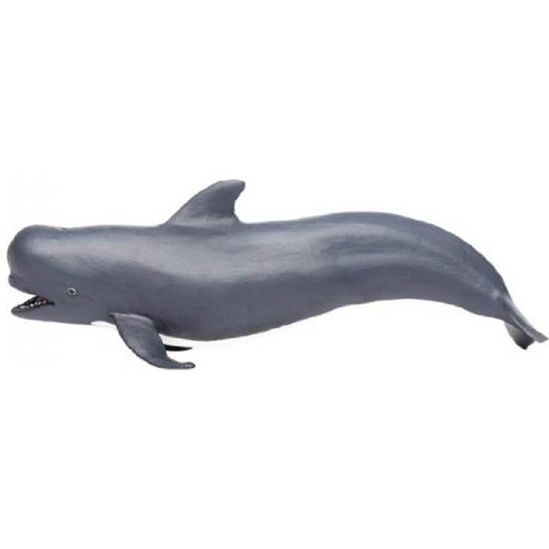 Pilot Whale Sea Life Safari Ltd NEW IN STOCK