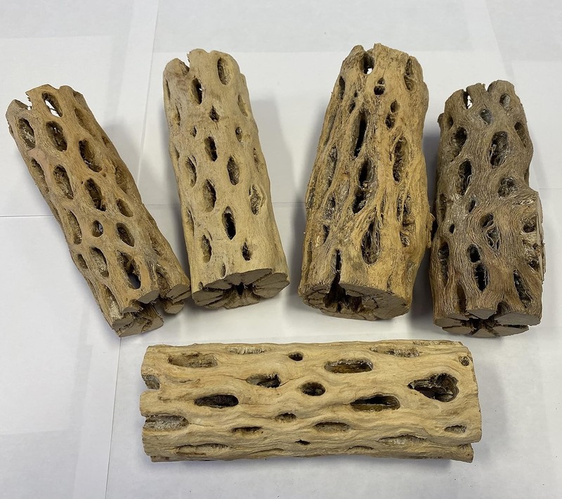 XL Cholla Wood Hollow Tube 6in x Up to 2in - Natural Aquarium & Terrarium Decor gallery