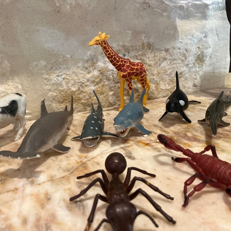 Lot Of 20 Large Plastic Toy Animals Sharks Zoo Annals Bugs Etc! gallery