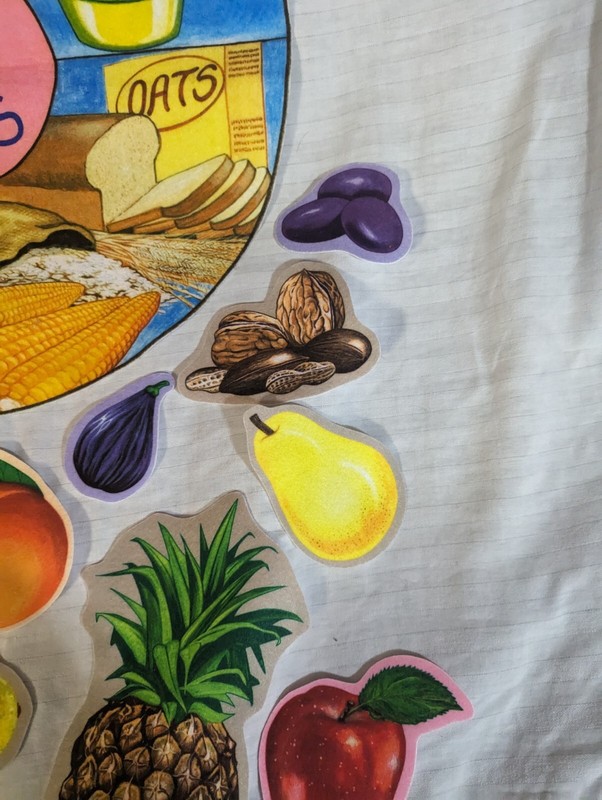 Learning Visual Felt Food Groups Kit Homeschool Montessori Classroom HTF Game gallery