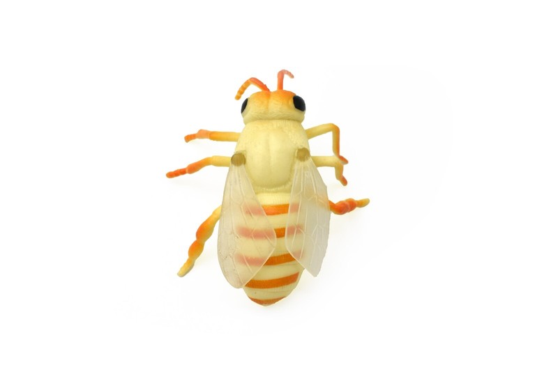 Beetle, Flying, Very Nice Rubber Reproduction 3″ CWG48 B155