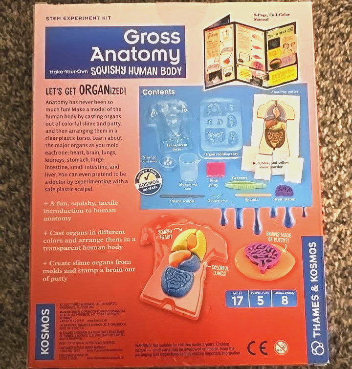 Gross Anatomy DIY Squishy Human Body Educational Science Kit NEW gallery