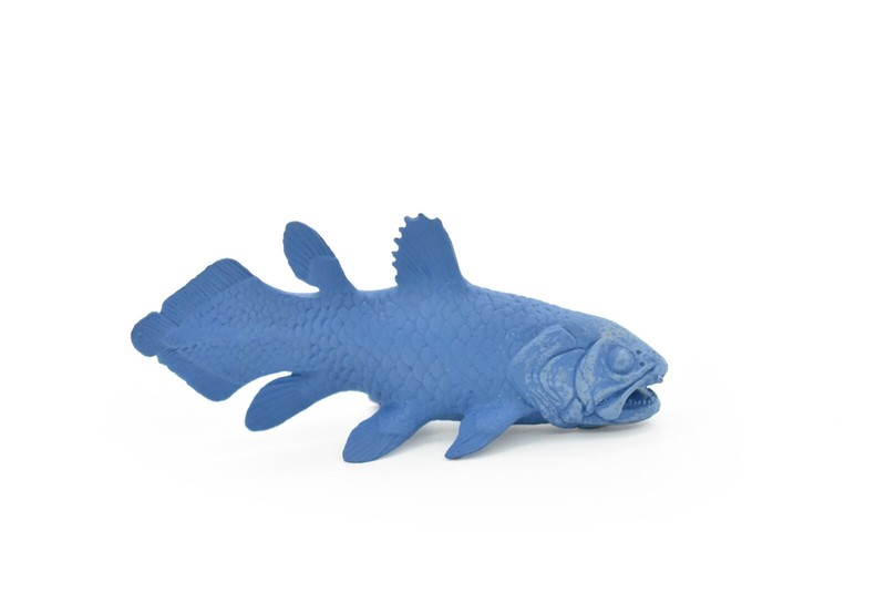 Coelacanth, Fish, Very Nice Plastic Toy Model 3″ X 1.5″ F4233 B376