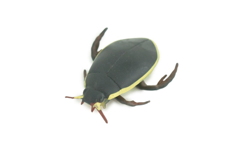 Yellow Edged Diving Beetle Toy Realistic Hand Painted Rubber 2.25″ CH857 BB198