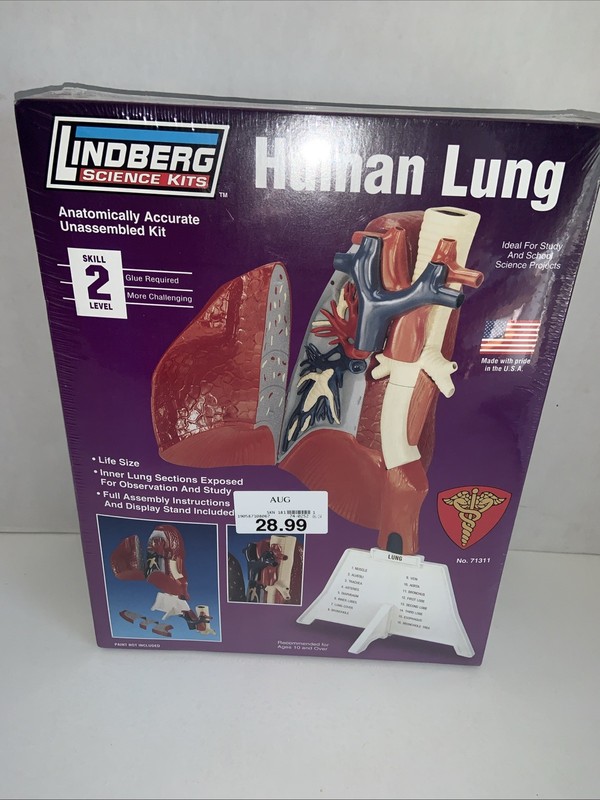 Lindberg Model Kit Human Body Part Lung Vintage Science Class School 71311