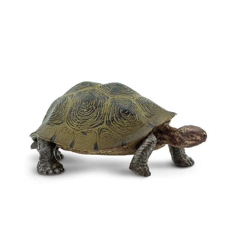 Desert Tortoise Wild Safari Animal Figure Safari Ltd NEW Toys Educational