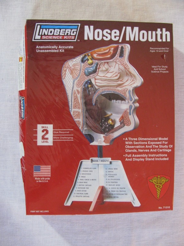 NEW Lindberg Nose/Mouth Science Kit 71310, Skill 2, USA rr