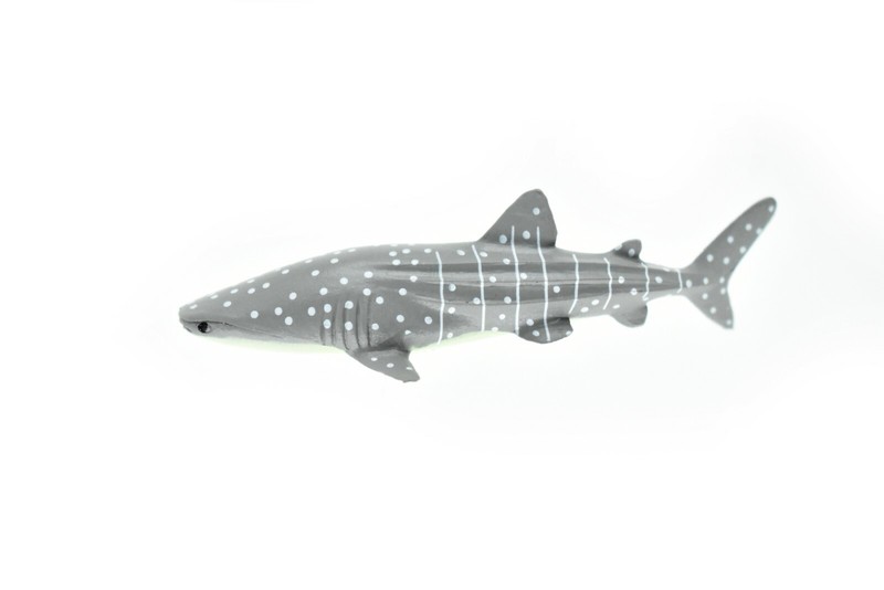 Whale Shark, Curved, Very Nice Plastic Replica 3″ – F1014 B118