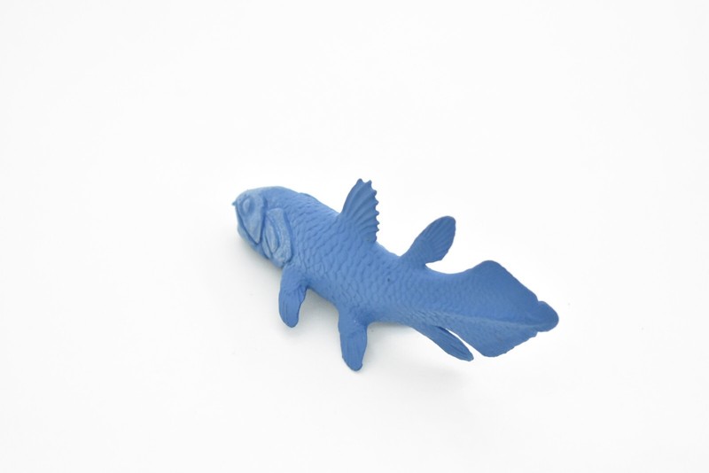 Coelacanth, Fish, Very Nice Plastic Toy Model 3" X 1.5" F4233 B376 gallery