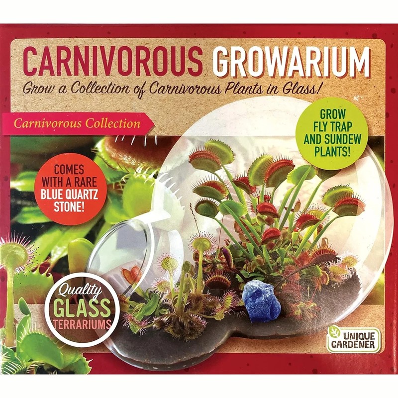 Unique Gardener Double Sphere Glass Terrarium – Carnivorous Growarium Brand New!