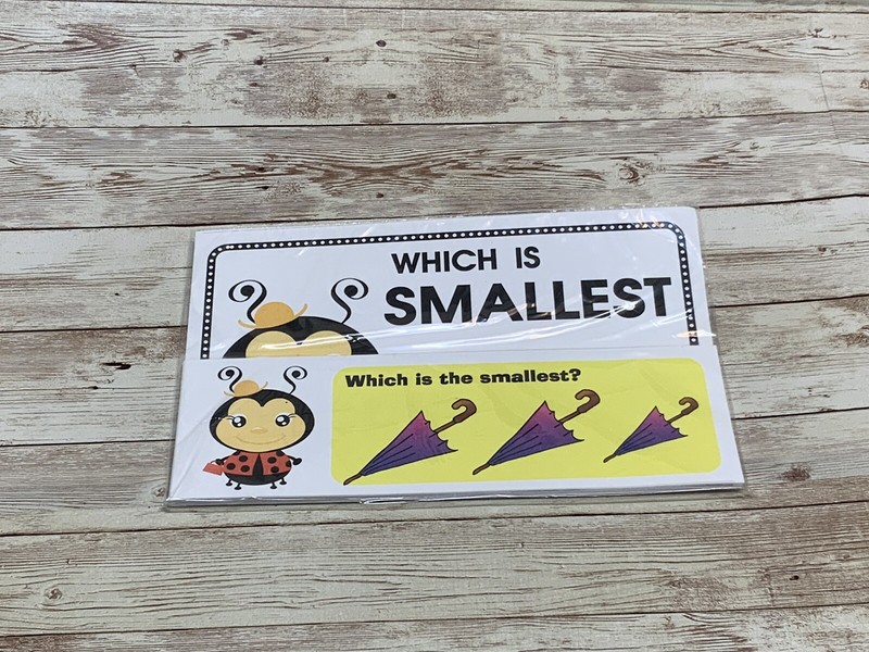 Lady Bug – Themed Learning Centers – Laminated – Which Is Smallest