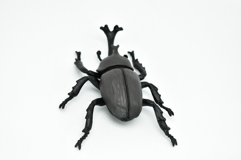 Beetle Rhinoceros, Black, Very Nice Rubber Replica 5 1/2" CWG82 B153 gallery