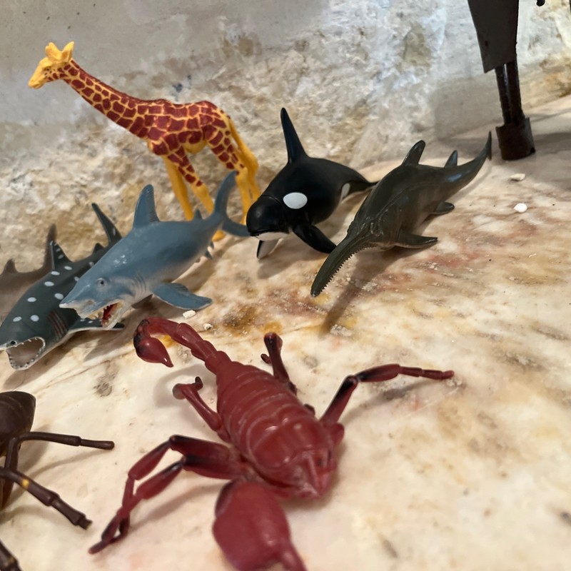 Lot Of 20 Large Plastic Toy Animals Sharks Zoo Annals Bugs Etc! gallery