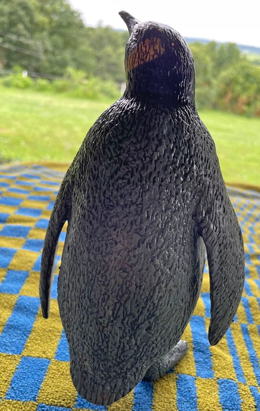 Emperor Penguin - AAA - Large gallery
