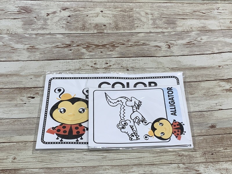 Lady Bug – Themed Learning Centers – Laminated Color Match