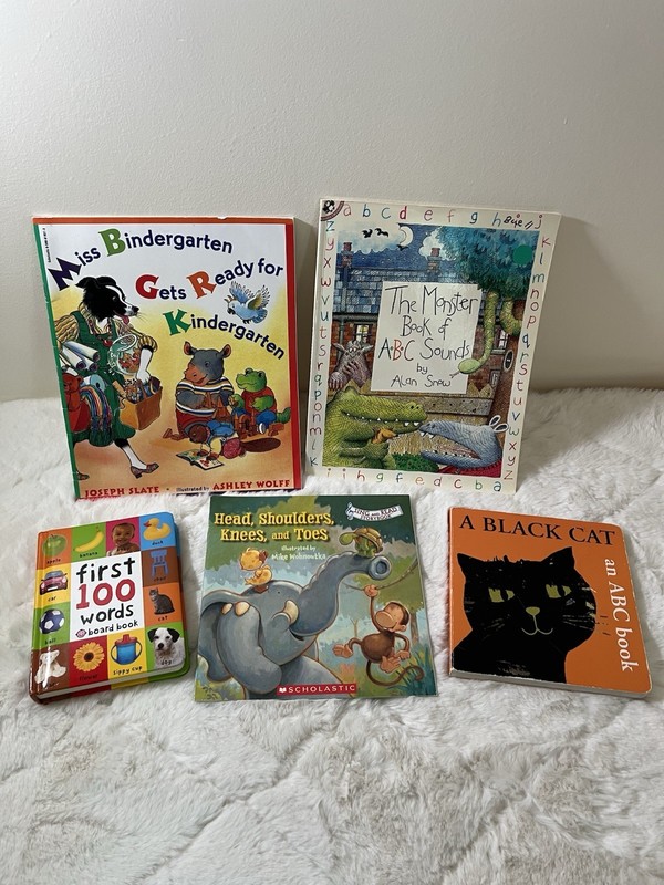 First 100 Words Book Bundle Kids Learning ABC Kindergarten Prep Toddler