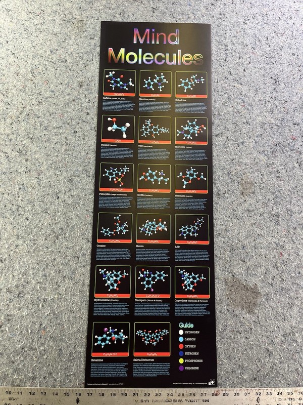 Mind Molecules Science Chemistry Poster Drugs Molecular Chart 12×36