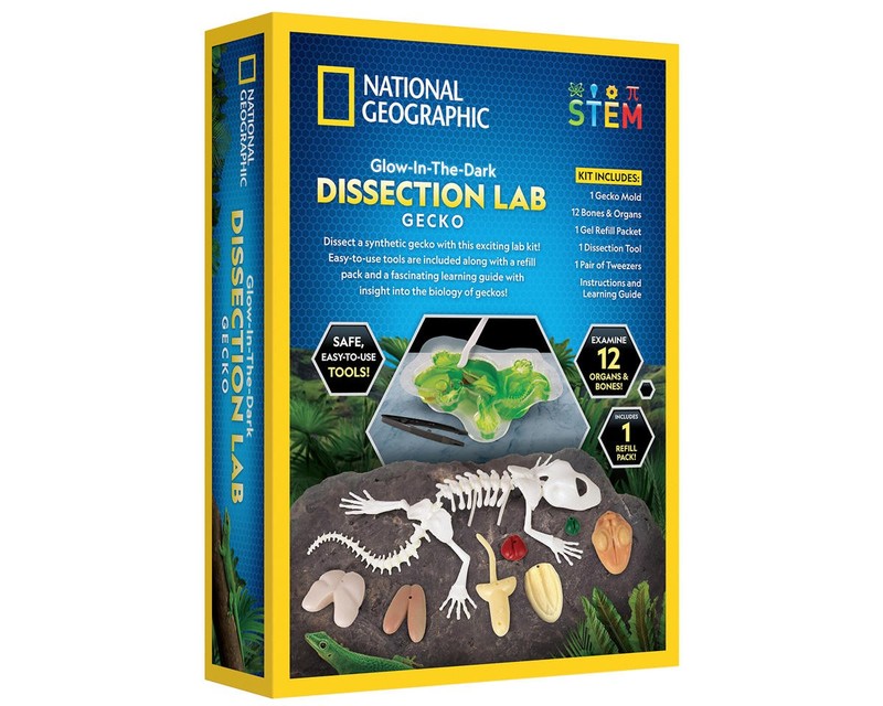 Blue Marble National Geographic Glow-in-the-Dark Gecko Dissection Lab gallery