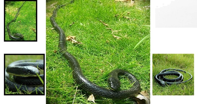 Incredible 47-Inch Rubber Snake - Perfect Trick for Pranks and Gifts gallery