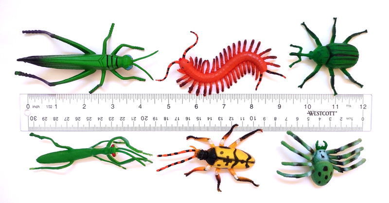 47 ASSORTED REALISTIC INSECTS ~ NATURE TOYS ~ LARGE 1.5 TO 5.5 Inches ~ Flexible gallery