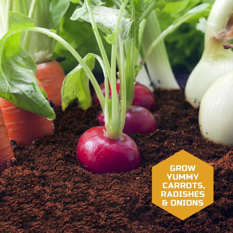 Discovery Kids Discovery Edible Veggie Garden Watch-It-Grow Kit Diy Stem gallery