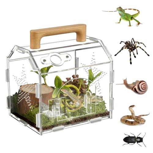 Acrylic Terrarium for Reptiles, Amphibians & Small Pets – 6.3 x 4.7 x 6.7 in