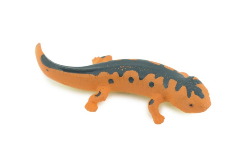 Eastern Orange Newt, Toy Lizard, Hand Painted Rubber, Realistic 2.5″ WR38 B197