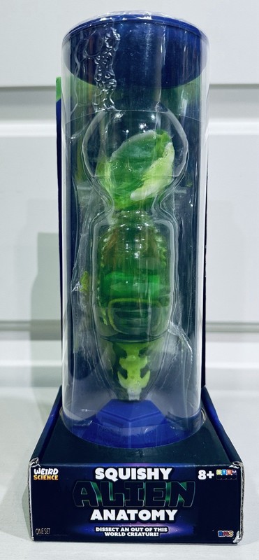 Squishy Alien Anatomy Stem Dissection Activity Fun Science For Kids(damage head)