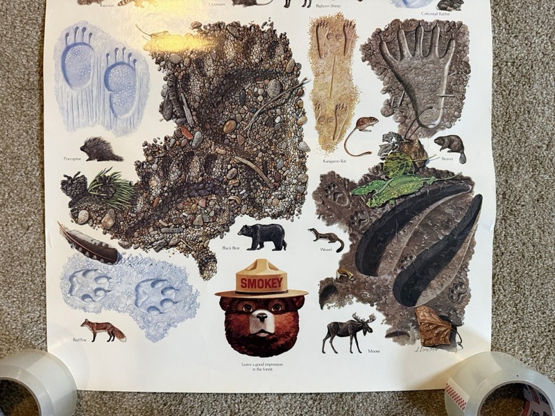 VTG Leave A Good Impression In The Forest Animal Print Smokey The Bear Poster gallery