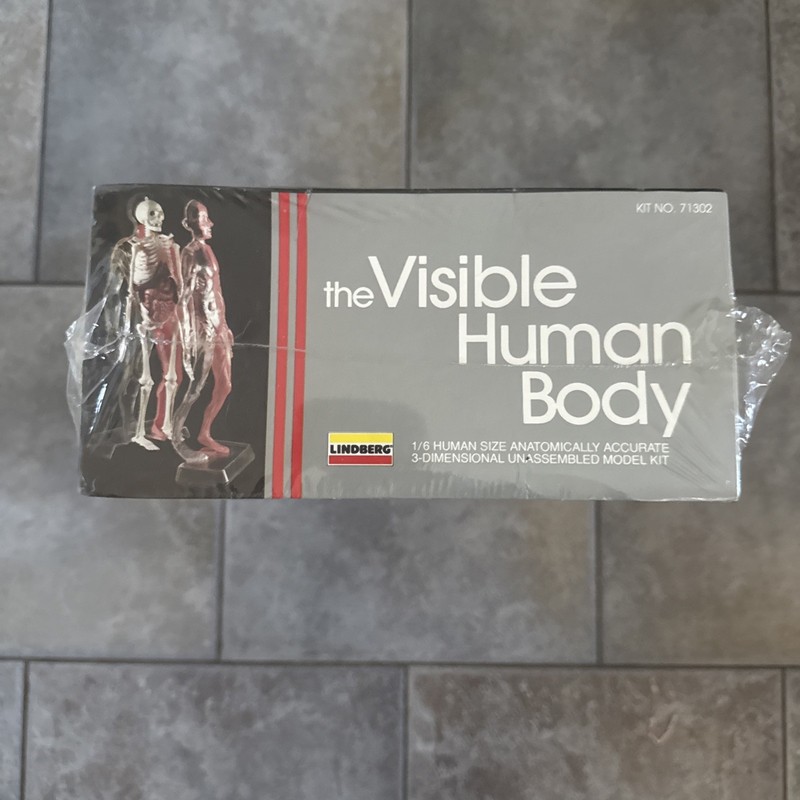 Vintage 1991 Lindberg The Visable Human Body Kit No. 1302. SEALED gallery