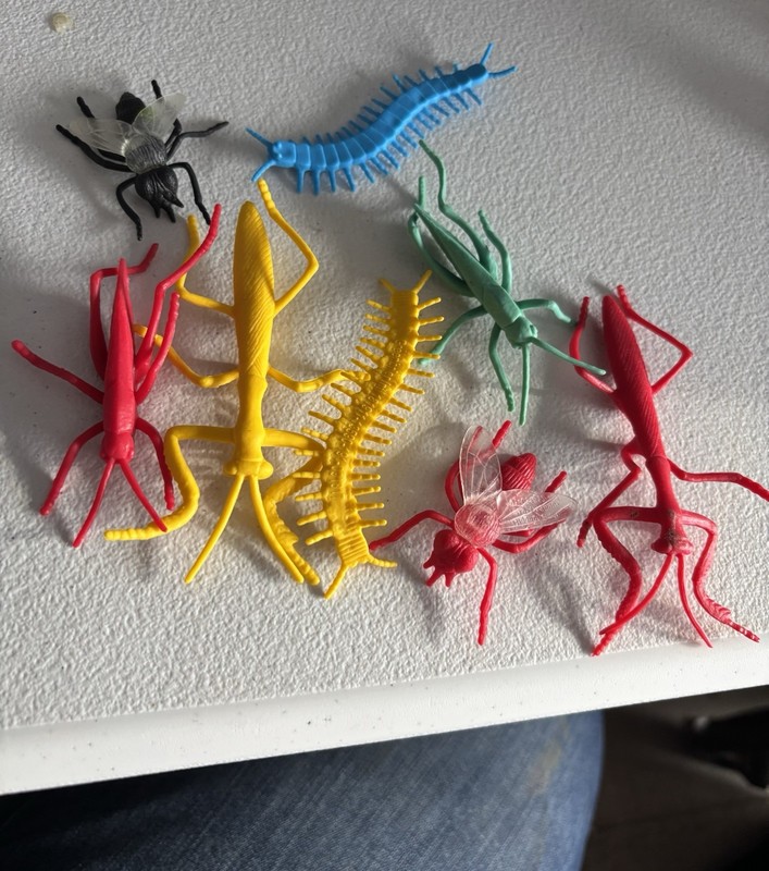 Lot Plastic Rubber Toy BUGS FLIES GRASSHOPPERS MANTIS CENTIPEDE 2-4”