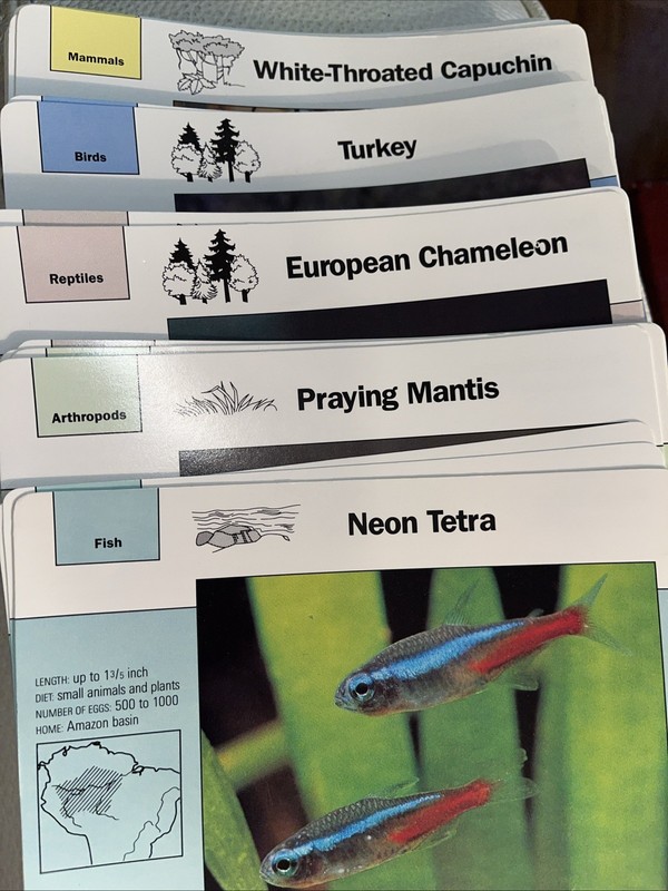 67 VTG Grolier Wildlife Adventure Cards 1991 MAMMAL FISH BIRDS ARTHROPOD REPTILE