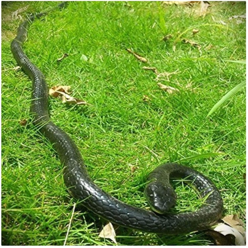 Lifelike 47″ Rubber Snake Toy