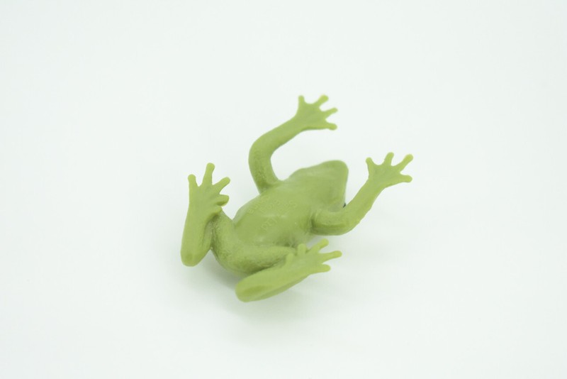 Green Tree Frog, Dumpy Treefrog Realistic Hand Painted Rubber Model 2 " SF69 B58 gallery