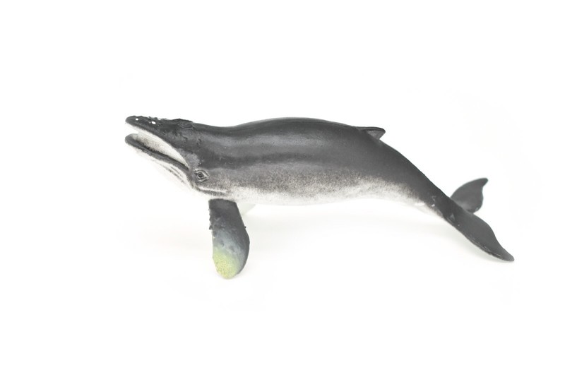 Humpback Whale, Very Nice Rubber Replica 4 1/2″ ~ F6009-B377
