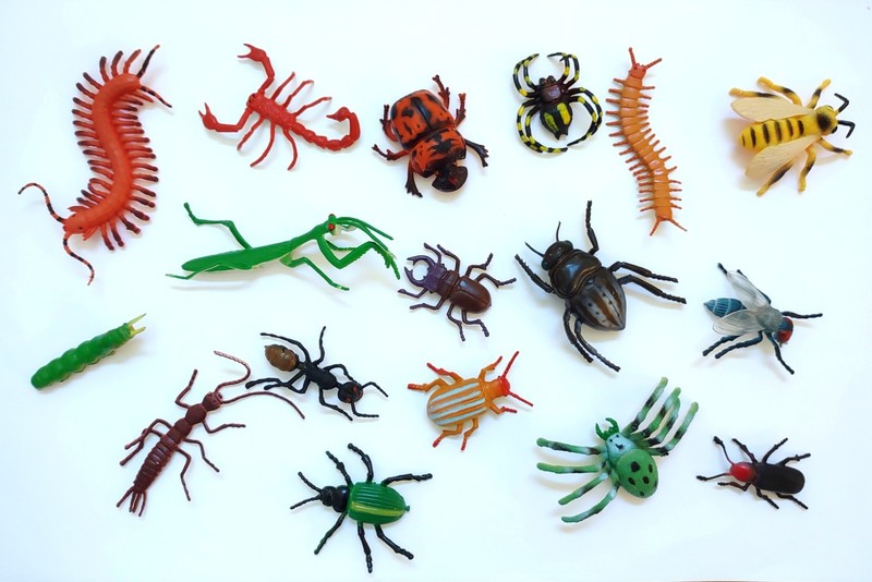 47 ASSORTED REALISTIC INSECTS ~ NATURE TOYS ~ LARGE 1.5 TO 5.5 Inches ~ Flexible gallery