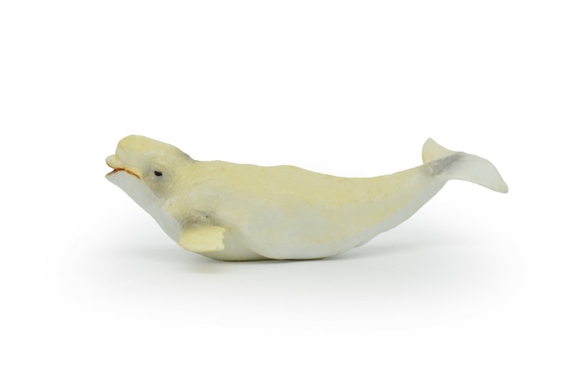 Beluga Whale Toy, Model, Figure, Rubber Replica, Hand Painted 5″ CWG212 BB42