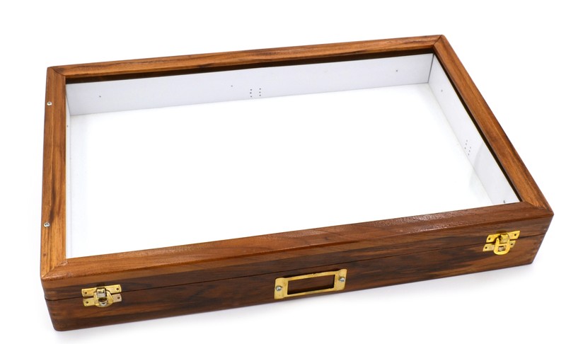 Insect Storage Box – Polished Wood- Eisco Labs