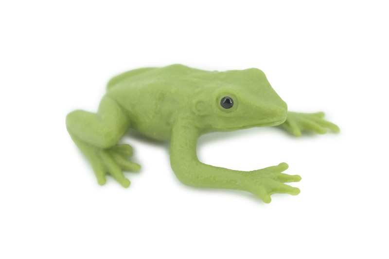 Green Tree Frog, Dumpy Treefrog Realistic Hand Painted Rubber Model 2 ” SF69 B58
