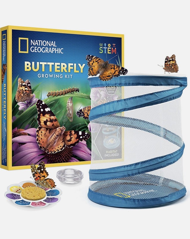 NATIONAL GEOGRAPHIC Butterfly Growing Kit Voucher for 5 Live Caterpillars STEM