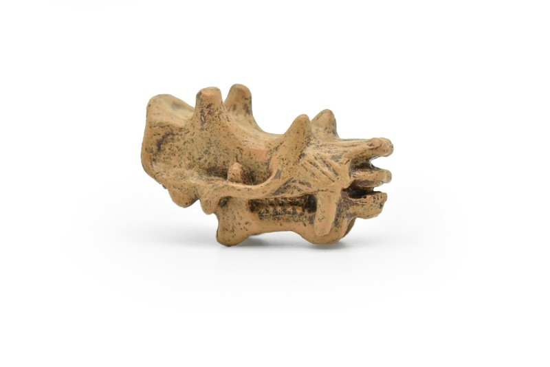 Uintatherium, Fossil Skull Toy, Realistic Plastic Reproduction 2″ F3523 B204