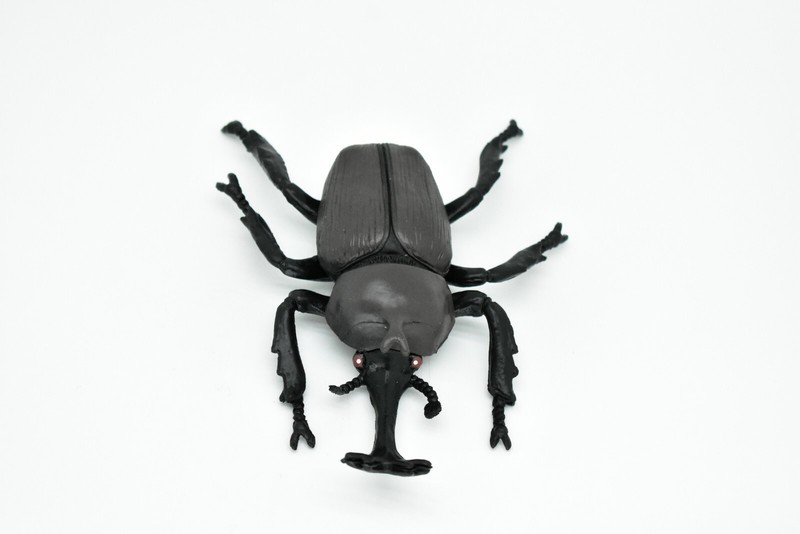 Beetle Rhinoceros, Black, Very Nice Rubber Replica 5 1/2" CWG82 B153 gallery