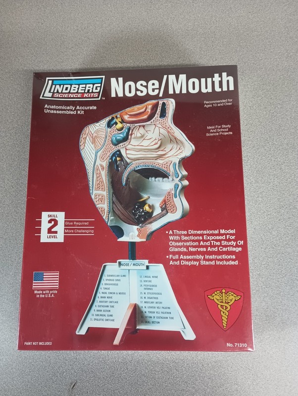 Lindberg Science Kits Nose/Mouth Unassembled Anatomically Accurate Kit (NEW)